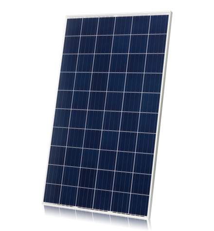 Eagle 多晶硅组件 （270Watt）